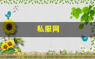 私服网(手游私sf平台) (10)